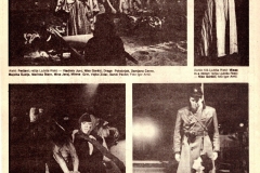 Publikacija_Mladina-br30_1984_011
