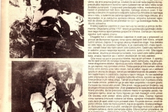 Publikacija_Mladina-februar-br-8_1985_003