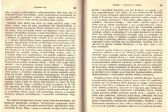 Publikacija_1987_Laslo-Vegel-Abrahamov-noz_005