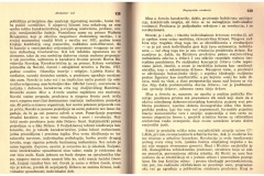 Publikacija_1987_Laslo-Vegel-Abrahamov-noz_019