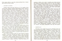 Publikacija_1989_Dragan-Klaic-Teatar-razlike_025