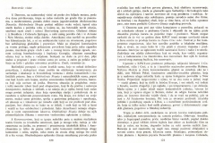Publikacija_1989_Dragan-Klaic-Teatar-razlike_029
