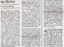 DEUTSCHES-ALLGEMEINES-SONTAGSBLATT