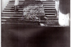 KPGT-Nis_45
