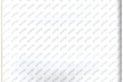 KPGT-Nis_56