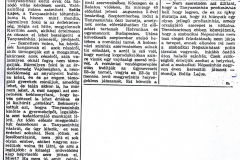MAGYAR_SZO-100790-SALASKO_POZORISTE-1-2