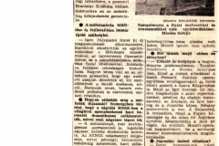 MAGYAR_SZO-261190-MLADEN_SABLJIC-1-2