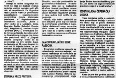 MLADOST-191087-LJ_RISTIC-SUBOTICKA_POZOR_AFERA-2-2