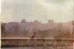 STUDIO_ZG-101086-R_SERBEDZIJA-INTERVJU-5-6