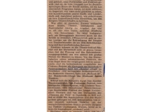 SUDDEUTSCHE_ZEITUNG-130681-NAJAVA_HAMLET_LJUBISA_RISTIC