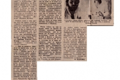 VECERNJE_NOVOSTI-06101976-2-2-INTERVJU__BUBA_U_UHU_LJUBISA_RISTIC_JDP_RADKO_POLIC_IGRAJTE_TUMOR_U_GLAVI_CEMENT