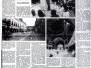 VOLKSBLATT